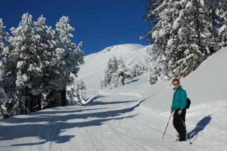 Titine et la mare gel�e