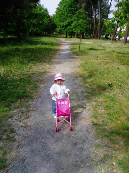 Promenade bordelaise