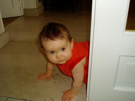 Priorit� � droite