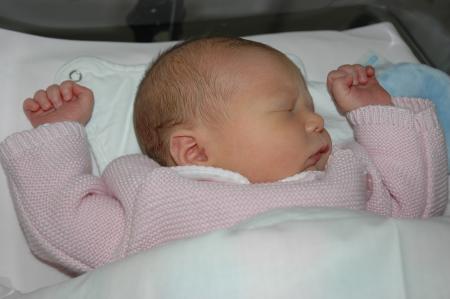 Haut les mains, peau d'lapin !!!