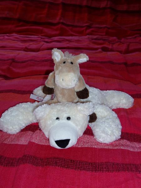 Bourricot et Teddy Bear