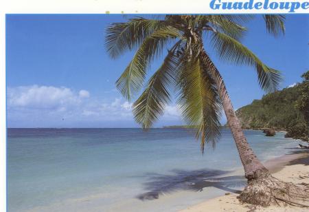 Et pendant ce temps l�, Delphine...